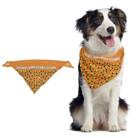 Pet Bandana